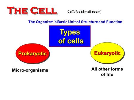 The Cell The Organism’s Basic Unit of Structure and Function ProkaryoticProkaryotic EukaryoticEukaryotic Types of cells of cells Micro-organisms All other.