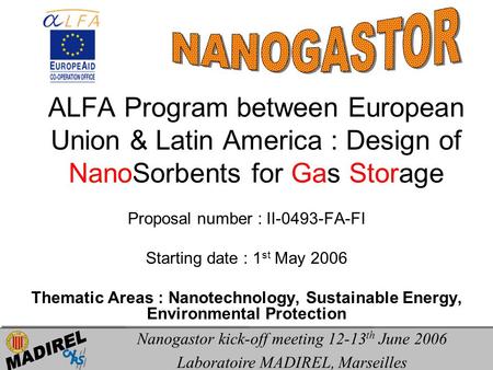 ALFA Program between European Union & Latin America : Design of NanoSorbents for Gas Storage Proposal number : II-0493-FA-FI Starting date : 1 st May 2006.