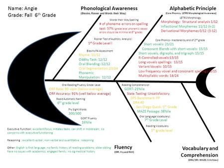 Phonological Awareness (Blevins, Rosner and Words their Way) Alphabetic Principle (Core Phonics, LETRS Morphological Awareness) Vocabulary and Comprehension.