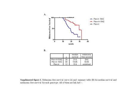 Supplimental figure 1. Melanoma free survival curve (A) and summary table (B) for median survival and melanoma free survival for each genotype. All of.