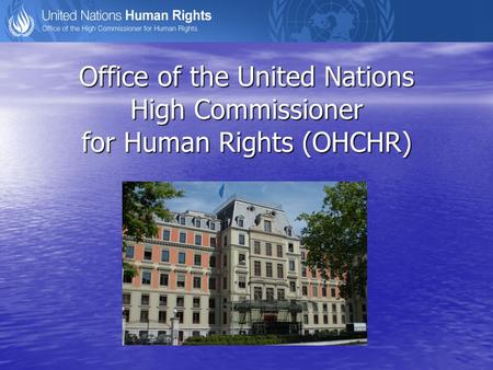 Office of the United Nations High Commissioner for Human Rights (OHCHR)