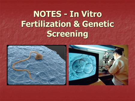 NOTES - In Vitro Fertilization & Genetic Screening.