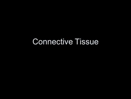 Connective Tissue.