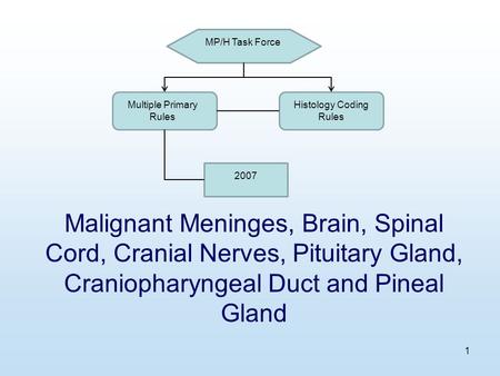 MP/H Task Force Multiple Primary Rules Histology Coding Rules 2007