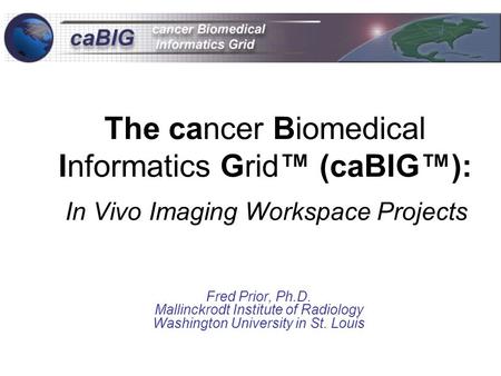 The cancer Biomedical Informatics Grid™ (caBIG™): In Vivo Imaging Workspace Projects Fred Prior, Ph.D. Mallinckrodt Institute of Radiology Washington University.