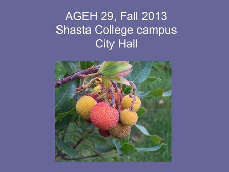 AGEH 29, Fall 2013 Shasta College campus City Hall.