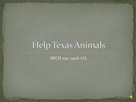 SPCH 1311-7426-OL. The Humane Society of the United States estimates that animal shelters care for 6-8 million dogs and cats every year in the United.