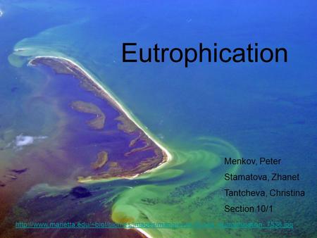 Eutrophication  Menkov, Peter Stamatova, Zhanet Tantcheva, Christina.