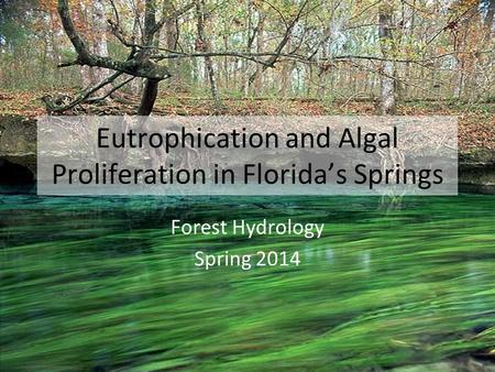 Eutrophication and Algal Proliferation in Florida’s Springs Forest Hydrology Spring 2014.