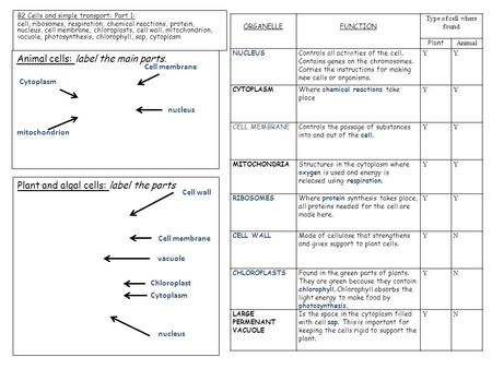 Type of cell where found