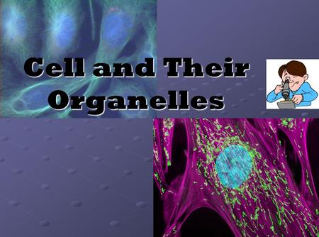 Cell and Their Organelles