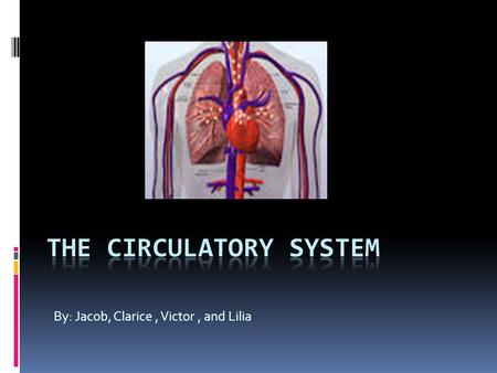 The Circulatory System