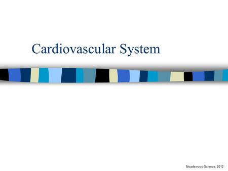 Cardiovascular System Noadswood Science, 2012. Cardiovascular System To know the pathway of oxygen through the circulatory system Wednesday, August 12,