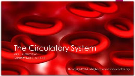 The Circulatory System MRS. J.A. FELICIANO PARKWAY MIDDLE SCHOOL © copyright 2014- all rights reserved www.cpalms.org.