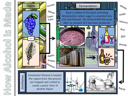 Liqueurs Whisky Vodka Gin Rum Brandy Tequila Distillation Fermented Ethanol is heated. The vapors from this process are trapped and cooled to create a.