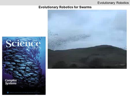 Evolutionary Robotics Evolutionary Robotics for Swarms.