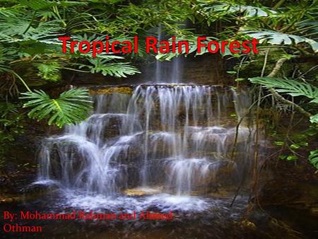 Tropical Rain Forest By: Mohammad Rahman and Ahmed Othman.