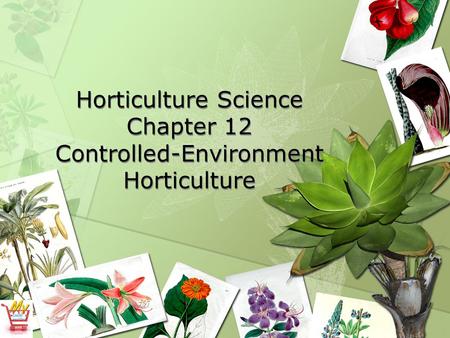 Horticulture Science Chapter 12 Controlled-Environment Horticulture