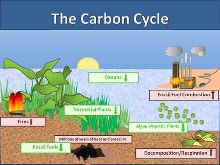 Fossil Fuel Combustion