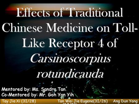 1 Effects of Traditional Chinese Medicine on Toll- Like Receptor 4 of Carsinoscorpius rotundicauda Mentored by: Ms. Sandra Tan Co-Mentored by: Mr. Goh.