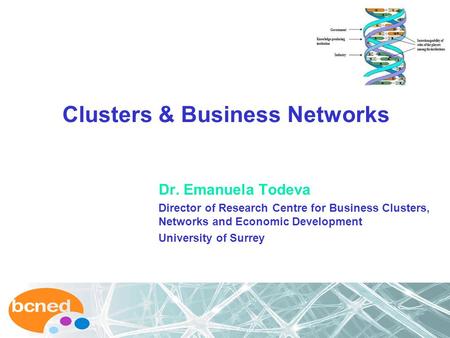 Clusters & Business Networks Dr. Emanuela Todeva Director of Research Centre for Business Clusters, Networks and Economic Development University of Surrey.