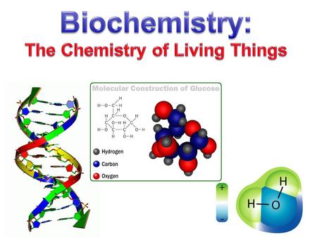 Everything in the universe is composed of ATOMS, the basic building blocks of matter How small is an atom? The thickness of a piece of paper is about.