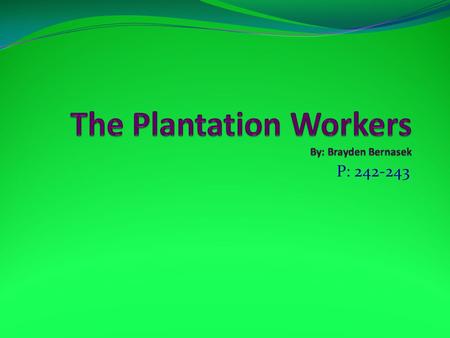 P: 242-243 Every member of the family worked very hard. They work 10-12 hours a day. They would not give up until they had the best for their family.