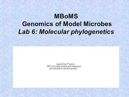 MBoMS Genomics of Model Microbes Lab 6: Molecular phylogenetics.