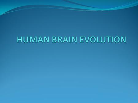 LARGE COMPLEX BRAINS Large complex brains can store and process a lot of information. Early humans interact and encounter with new habitats.