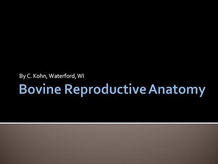 By C. Kohn, Waterford, WI.  The cow's reproductive system has four basic functions.  To produce ova (eggs) which provides half of the eventual offspring's.