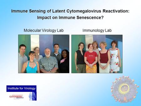 Immune Sensing of Latent Cytomegalovirus Reactivation: Impact on Immune Senescence? Molecular Virology LabImmunology Lab Institute for Virology.