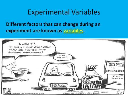 Experimental Variables