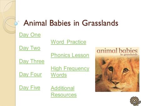 Animal Babies in Grasslands