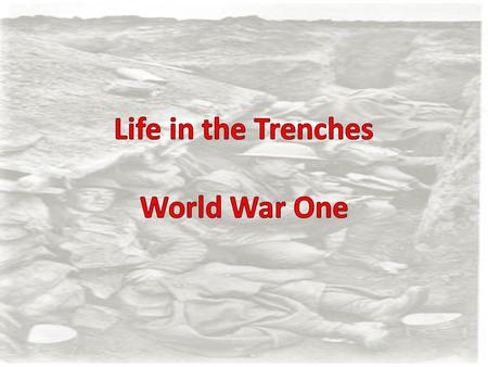 The Western Front The Western Front – Trench Warfare between Allies (England, France, Belgium) and German forces. Schlieffen plan failed after the battle.