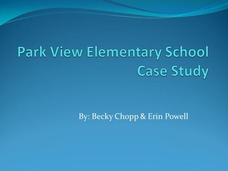 By: Becky Chopp & Erin Powell. School Demographics Virginia Public School District 506 N 9 th Avenue W. Virginia, MN 55792 Grades: Kindergarten, 1,2,3.