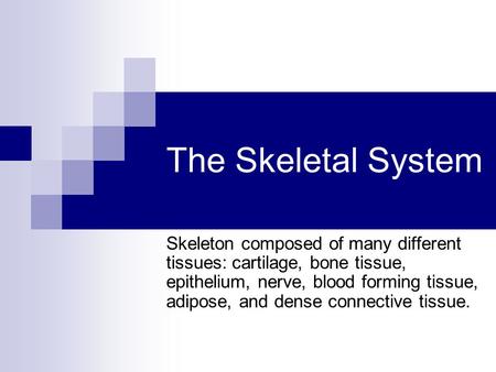 The Skeletal System Skeleton composed of many different tissues: cartilage, bone tissue, epithelium, nerve, blood forming tissue, adipose, and dense connective.