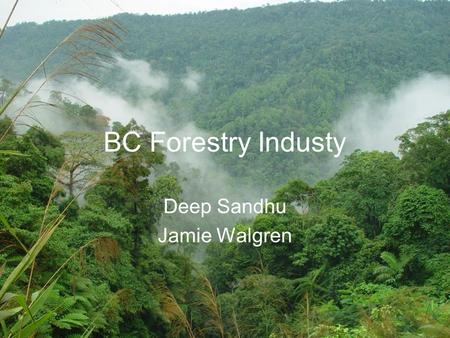 BC Forestry Industy Deep Sandhu Jamie Walgren. Contents History of Forestry Industry Tariffs Pine Beetle Housing Market Boom Housing Market Crash Canadian.