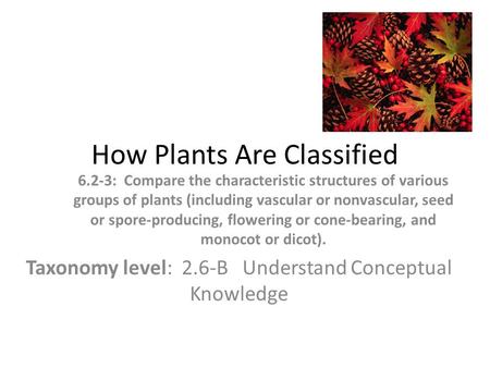 How Plants Are Classified