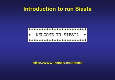 Introduction to run Siesta