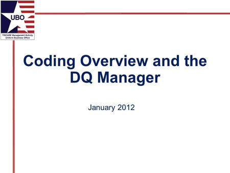 Coding Overview and the DQ Manager