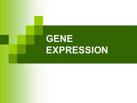 GENE EXPRESSION.