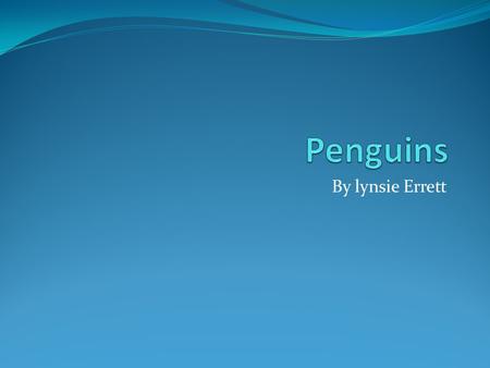 By lynsie Errett. Penguins are so different There are 17 species of penguins and none are exactly alike. Some have orange eyebrows, some have fluffy tails.