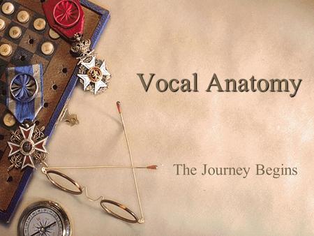 Vocal Anatomy The Journey Begins Singing involves the control and manipulation of numerous muscles. These muscles are accustomed to doing their own thing.