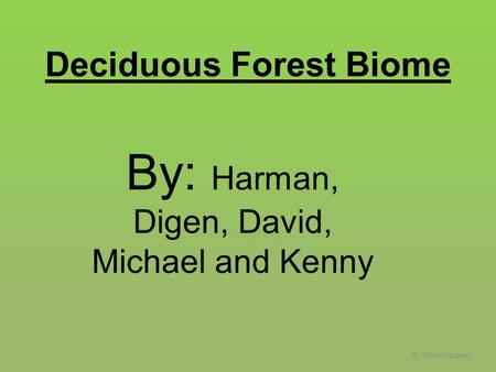 Deciduous Forest Biome