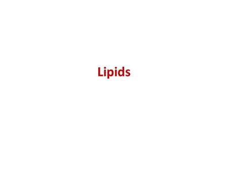 Lipids.