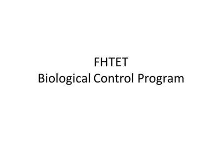 FHTET Biological Control Program. FHTET Biological Control Program What we can do for you: Development and implementation of biological control to manage.