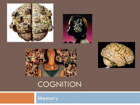 COGNITION Memory. True of False? T/F A woman who could not remember who she was automatically dialed her mother’s number when the police gave her a telephone.