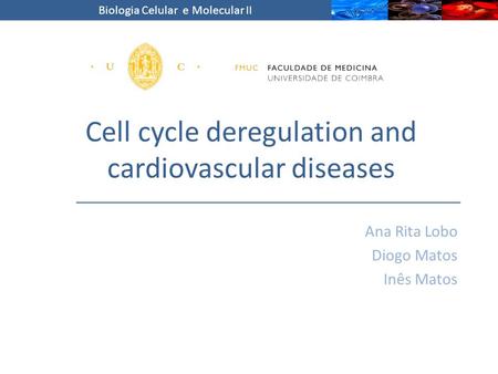 Biologia Celular e Molecular II Cell cycle deregulation and cardiovascular diseases Ana Rita Lobo Diogo Matos Inês Matos.