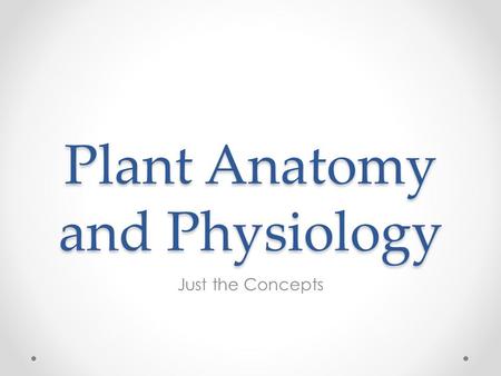 Plant Anatomy and Physiology