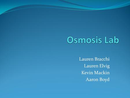 Lauren Bracchi Lauren Elvig Kevin Mackin Aaron Boyd.